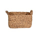 Anak Basket | 40cm