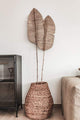 Water Hyacinth Pot | 68cm